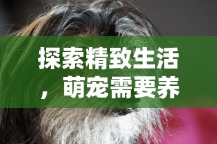 在保持热爱的同时，探究秒速萌兔游戏重新开始的方法：怎么正确地重新玩这款热门游戏？