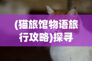 (猫旅馆物语旅行攻略)探寻真相：传闻中的猫旅馆物语是否真的倒闭?