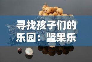 寻找孩子们的乐园：坚果乐园在哪里？带你一网打尽全国各地坚果乐园地址及游玩指南