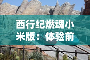 (猫咪和汤无限金币钻石版7月11日)猫咪与汤无限金币钻石版，深度解析与常见问题解答