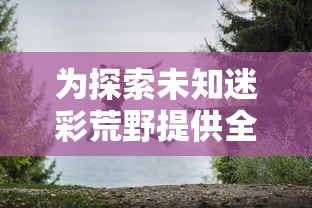 探秘三国志孔明传最强15人大揭秘：武勇与智谋并重谁才是真正的三国最强？”