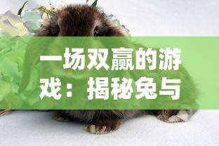 上河图手游攻略全解析：不同角色技能用法详解与养成指南，助你快速提升实力驰骋游戏世界