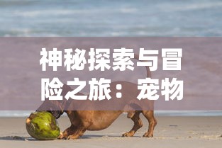 探索绝世唐门的世界：百度百科详细解读唐门世家的历史和文化实录