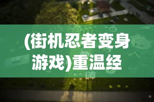 (九州劫平民攻略)详解九洲劫的各个流派：哪一个是最强的，为何它卓越出众？