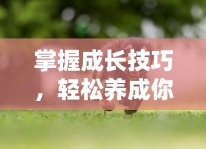 探究知名游戏角色菜鸟小忍者改名背后的原因与意义：从玩家反响到行业影响