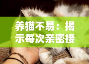 养猫不易：揭示每次亲密接触猫咪都可能带来致命风险的不为人知的真相