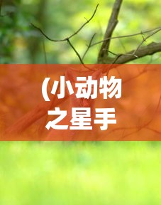 仙境传说RO端游：通过剖析角色职业特性，探索地下城挑战攻略和优化队伍配合策略