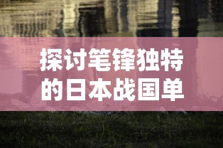 探讨笔锋独特的日本战国单机游戏：以如影随形的忍者为主角的创新尝试