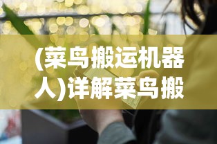 (安尼卡暗黑世界无尽轮回下载)安尼卡暗黑世界无尽轮回手游，探索与挑战的暗黑之旅