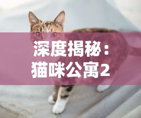 深度揭秘：猫咪公寓2为什么已经停更？相关原因及粉丝期待的新内容有何更新可能性？