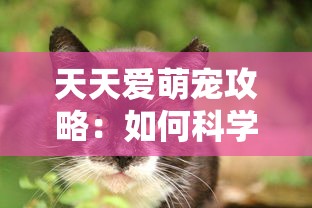 (神兵奇迹2-广州贪玩在哪看)神兵奇迹2-广州贪玩补充内容解析，多元化视角下的游戏探讨