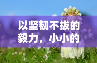 寻找康复之路：洛神口腔医院地址在哪里，哪些服务值得我们关注？