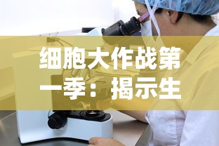 深度剖析《从前有座灵剑山》手游职业选择指南：提升游戏体验的关键要点解析