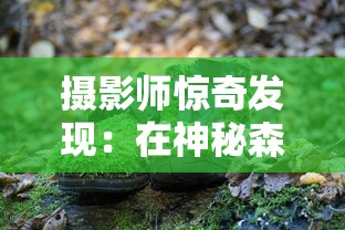 (道士出观手游好玩吗)九游道士出观，道教文化的现代传承与挑战