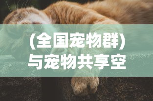 (异族崛起2作弊码是多少)异族崛起2，多元视角下的奇幻世界探索与反思