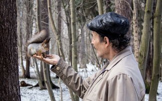 探索盛世三国2的游戏可玩性：现在的版本是否值得玩家体验和投入时间？