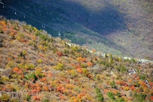 探讨'锦绣山河'的含义及其在当代社会发展背景下对国家自然环境保护的重要启示