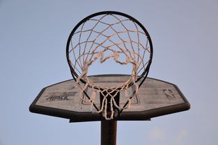 深度解析NBA篮球经理的选拔、培养机制及其影响因素：重塑篮球赛场上的智慧背后