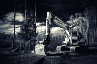 (寂静岭游戏攻略全剧情)寂静岭教程，深入解析恐怖游戏世界的奥秘