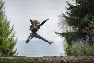 探索奇幻拱谷世界手机版：打造属于你的独特冒险之旅