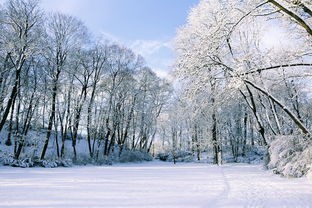 (飞雪连天射白鹿全诗)飞雪连天射白鹿——金庸武侠世界的经典之作