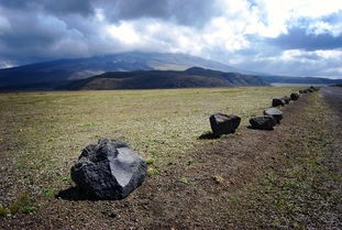 探秘九畿岐风之旅，一场融合历史与自然的深度旅行体验