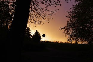 (夕阳之年是多少岁)夕阳之年，探讨老年生活与养老问题的多元化视角