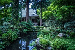 (夏日水上乐园物语折相思破解版)夏日水上乐园物语——折相思的魅力与谜团