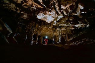 (洞窟冒险团物语)洞窟冒险团，探索未知世界的探险之旅