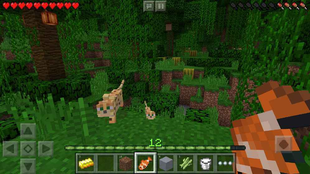 minecraft1.22国际版钻石下载-minecraft1.22国际版可化妆无广告版下载v.8.48 minecraft1.22国际版钻石下载-minecraft1.22国际版可化妆无广告版下载v.8.48